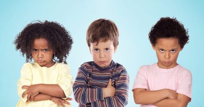 UnderstandingChallengingBehaviors1-2048x1077.jpg